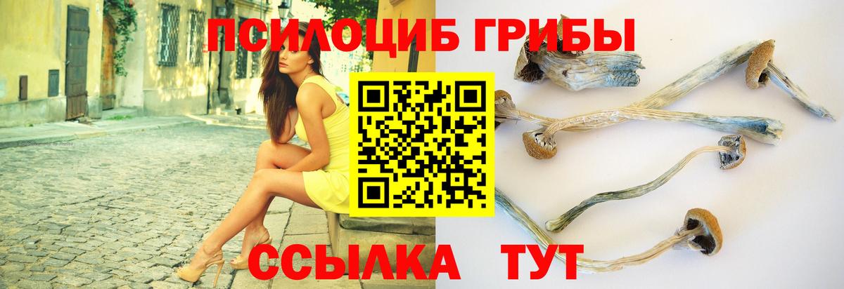 Галлюциногенные грибы мицелий Мичуринск